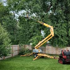 St Albans, WV Tree Services Company